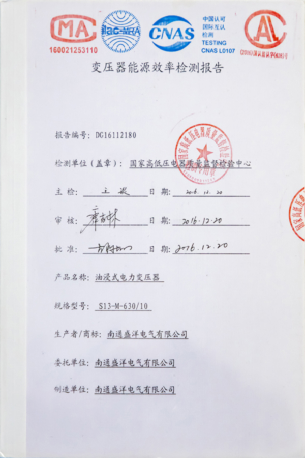 S13-M-630/10油浸式電力變壓器能源效率檢測報(bào)告